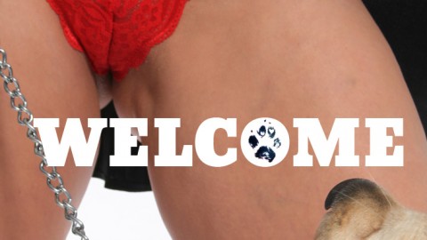 ຍິນດີຕ້ອນຮັບກັບ ArtOfZoo V.2!