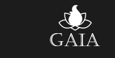 Gaia Медиа Industries