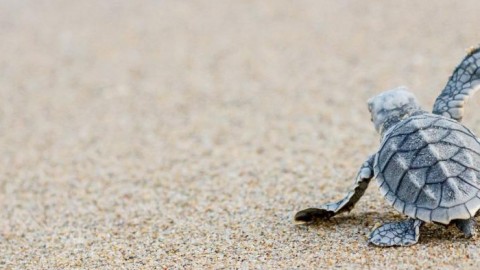 ຂັ້ນຕອນທໍາອິດ