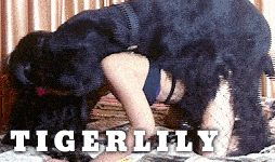 ટાઇગરલી એનિમેટેડ 1