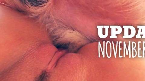 ArtOfZoo элеси November 2017