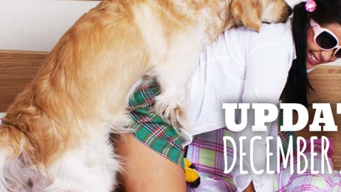 ArtOfZoo अपडेट डिसेम्बर 2017