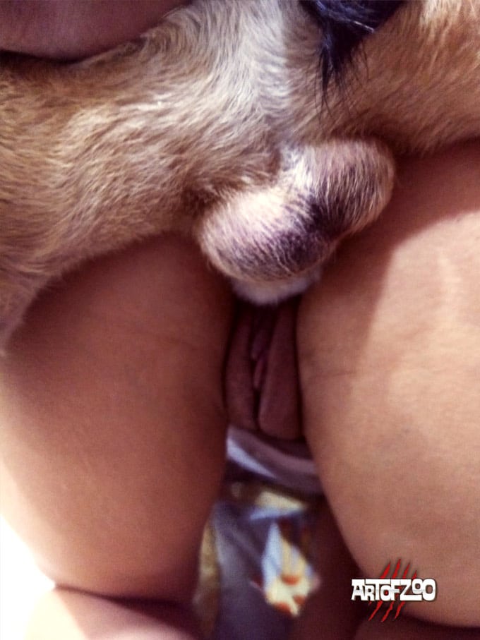 DogsLucy Dog Sex Knotting