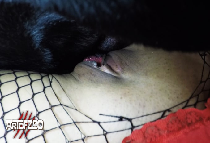 TigerLily dog sex woman