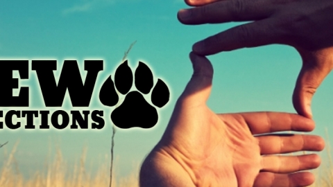 Petlove боюнча жаңы багыттары