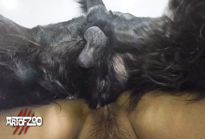 ArtOfZoo - Flavors of Asia - Dog Sex Video