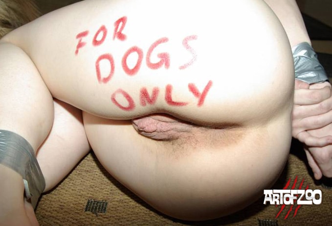 ArtOfZoo - Pussy Art - sex with dogs